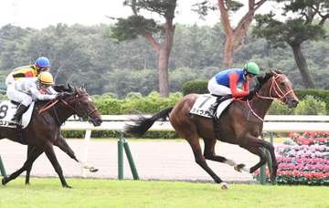 【新馬戦】タイヴァス 豪脚披露だ初陣V 坂井が伸びしろ期待「これから競馬を覚えていけば」