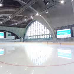 メインアリーナ/提供画像