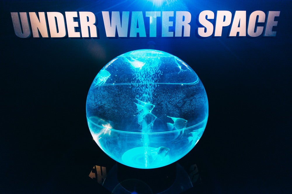 UNDER WATER SPACE／画像提供：UWS ENTERTAINMENT