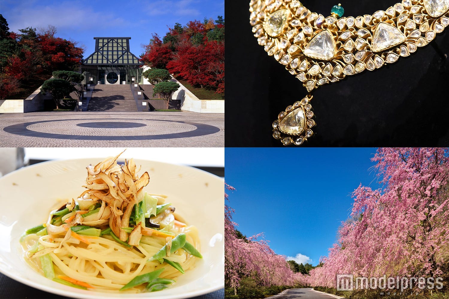 絶景・グルメ・アートも全部満喫!旅行好き必見の穴場「ミホミュージアム」って?