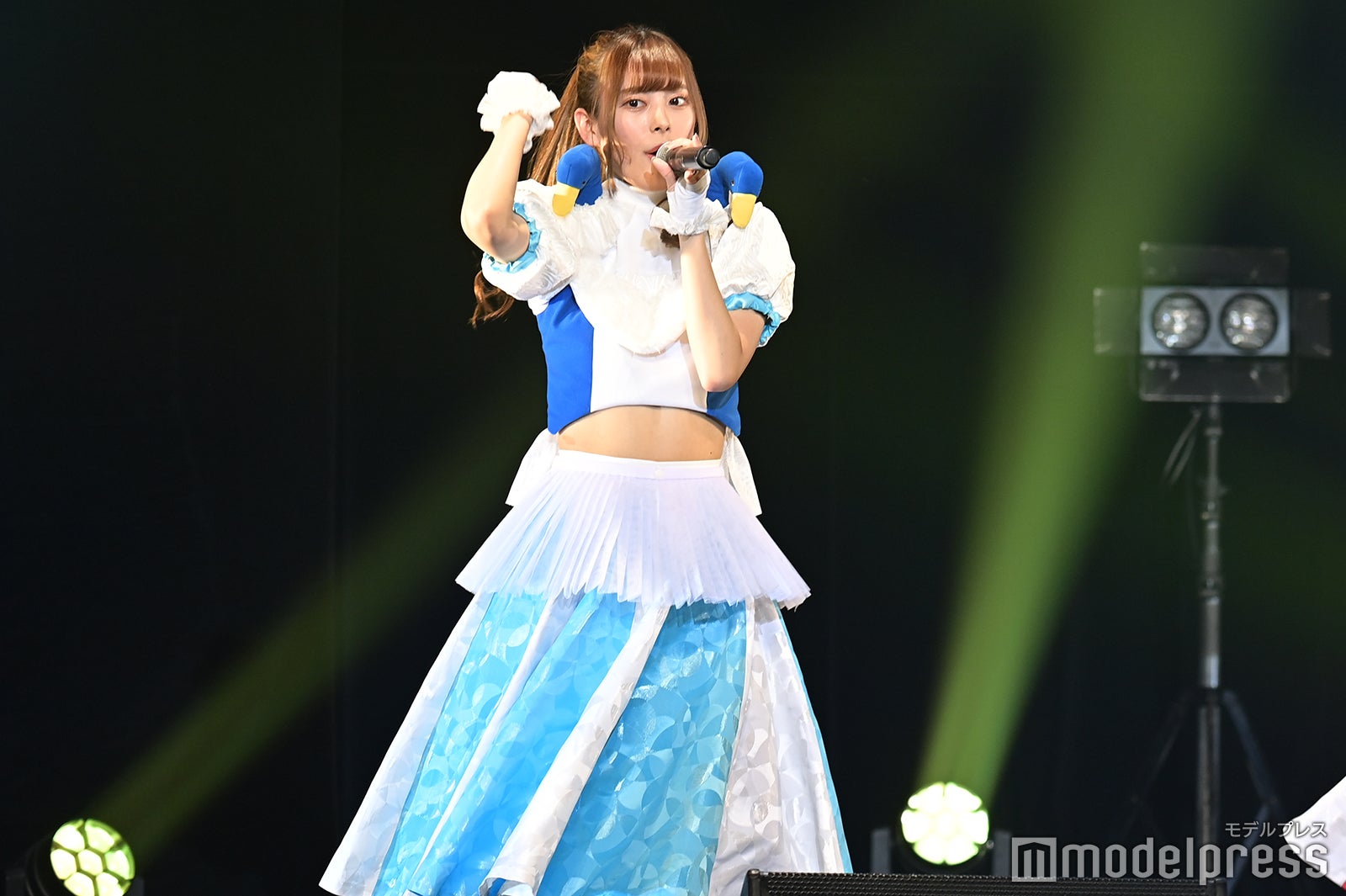 豆柴の大群（C）モデルプレス