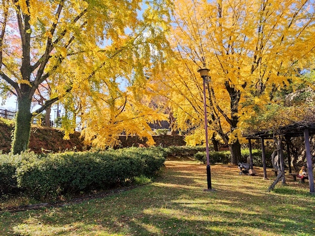 【和歌山】秋しかみられない絶景♡ 地元民や観光客も訪れる「紅葉スポット」