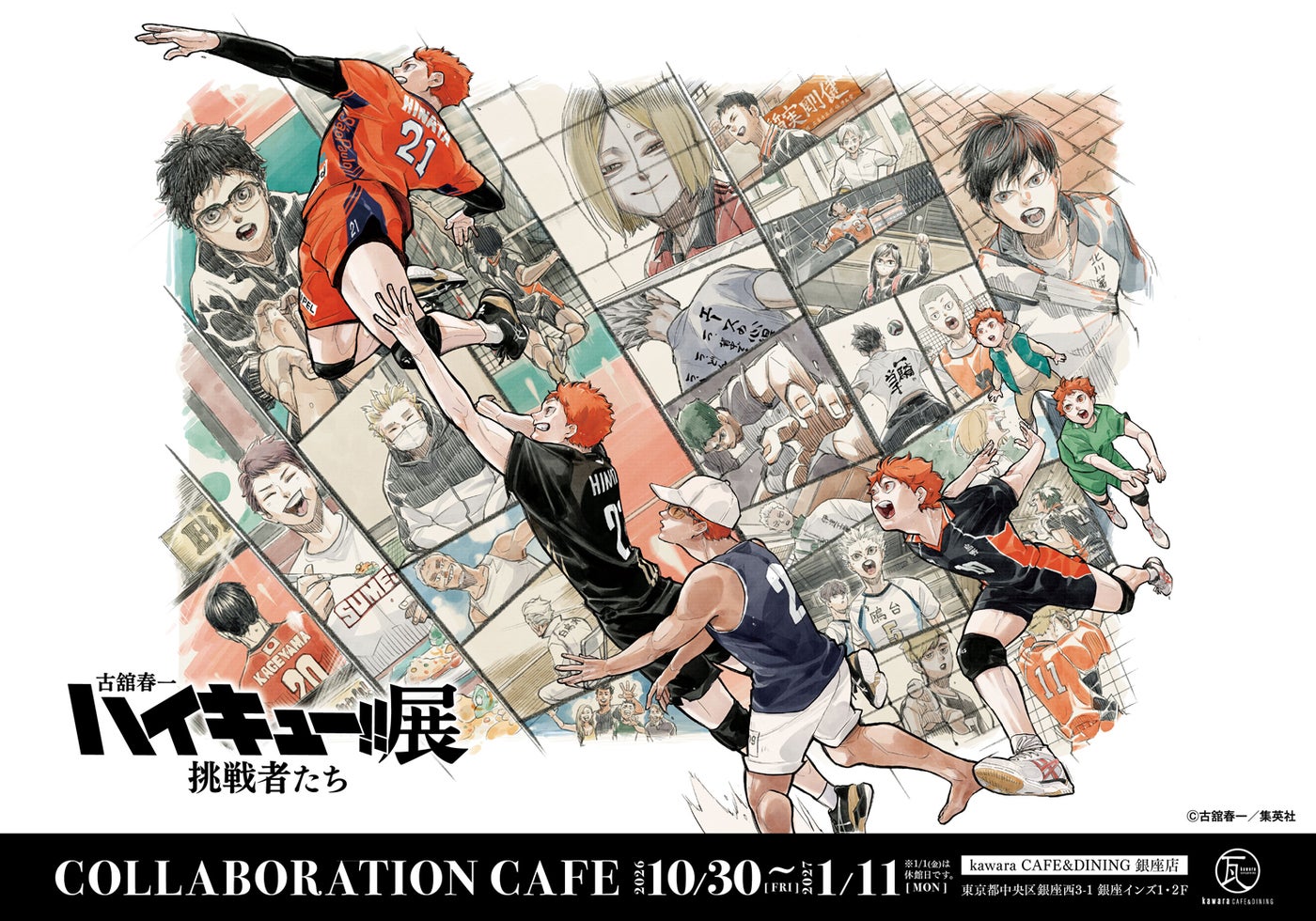 「古舘春一 ハイキュー!!展 挑戦者たち」(C)古舘春一/集英社