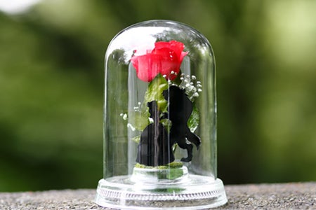 名作だと思う ディズニー映画 ランキング モデルプレス