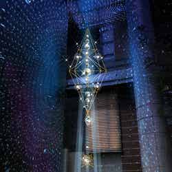 「星降ル森-Starfall」会場イメージ/画像提供:三井不動産株式会社