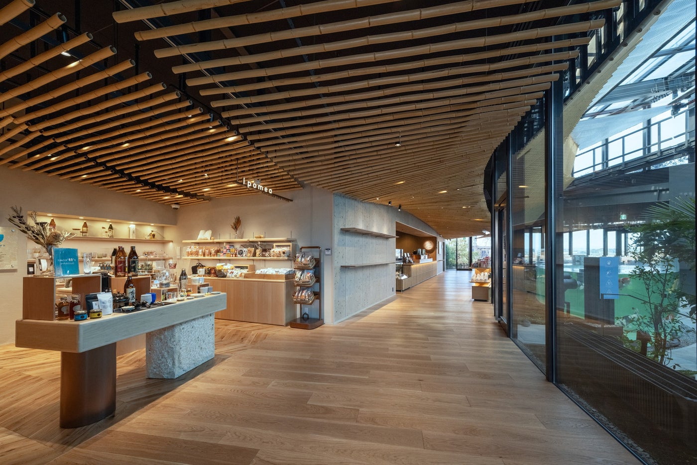 KIRISHIMA GREENSHIP icoia/提供画像