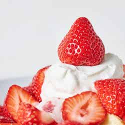 奇跡のパンケーキ 極・あまおうがいっぱい/画像提供:フレーバーワークス