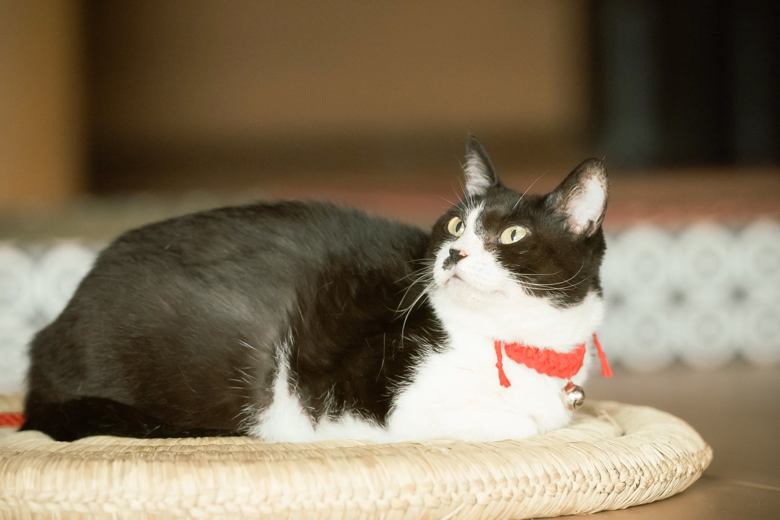 「光る君へ」第36話（C）NHK