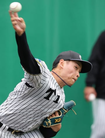 阪神2年目の早川は楽しみな存在 腕が長くて、球持ちがいい 勉強して改善していければ十分に先発ローテ 評論家が評価