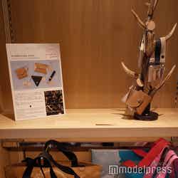 ノゾホテル(C)モデルプレス