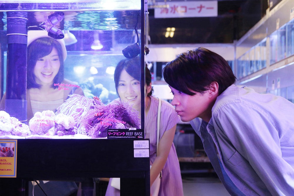 （左から）白石聖、志田未来、磯村勇斗（C）フジテレビ