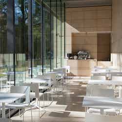 併設のカフェでゆっくり過ごすのも◎/提供:東京都庭園美術館