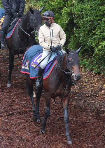 【皐月賞】パントルナイーフ ぶっつけ本番もOK 木村師「不安ない。心身ともに健康に送り出す」