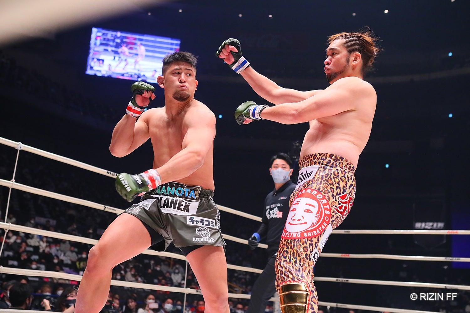 シバターVSHIROYA（C）RIZIN FF
