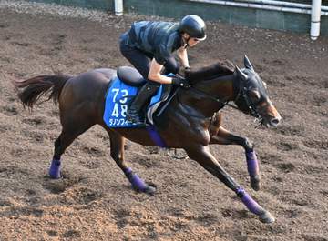 【東海S】ダノンフィーゴ 重賞2勝目へ活気十分 友道師「反応良かった」4カ月ぶりの実戦も状態面に太鼓判