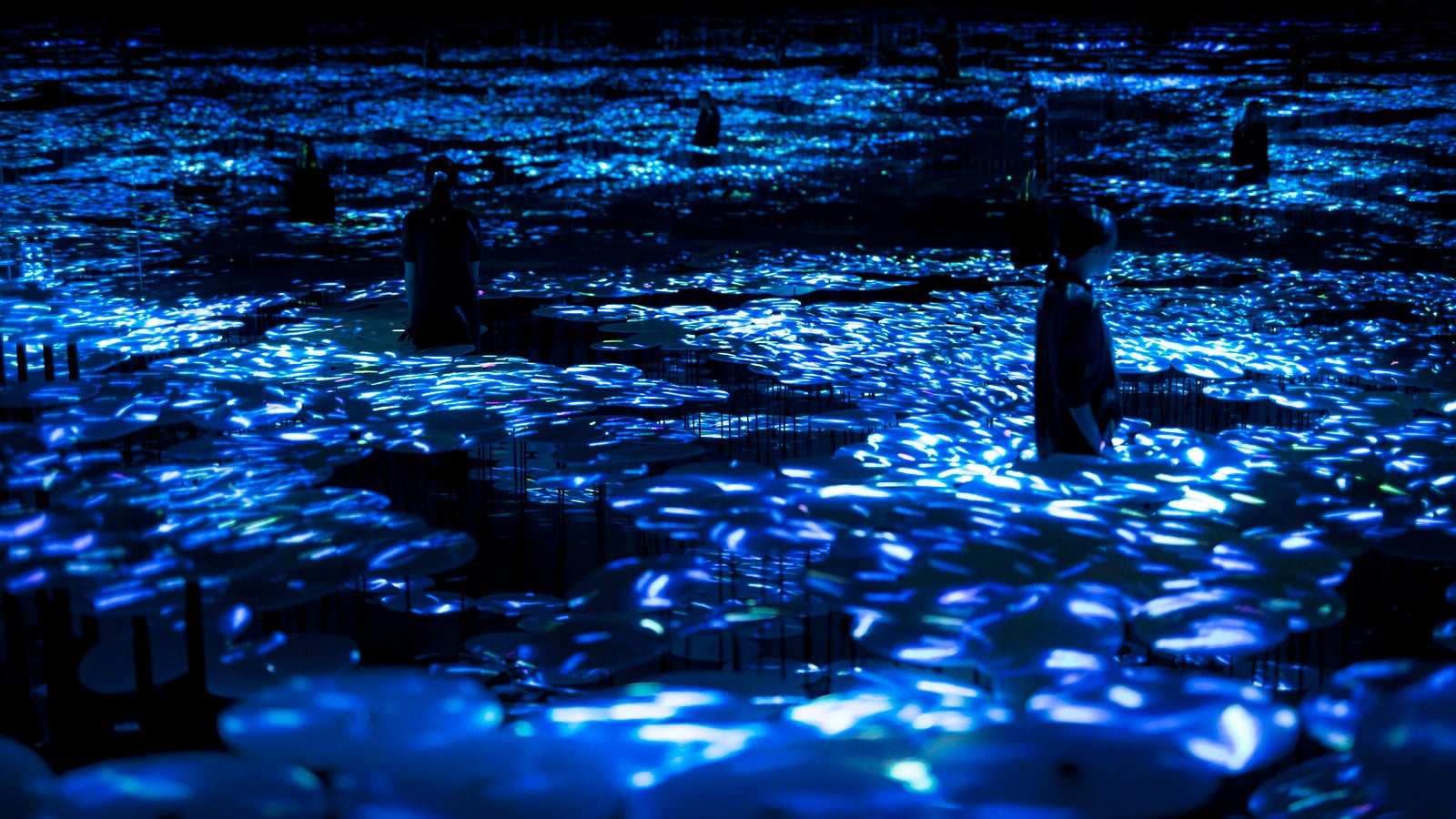 Untitled／画像提供：チームラボ