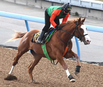 【新馬戦】イーグルロック 活躍馬多数！母系の力発揮でVへ 父は米ダートG1覇者・ナダル