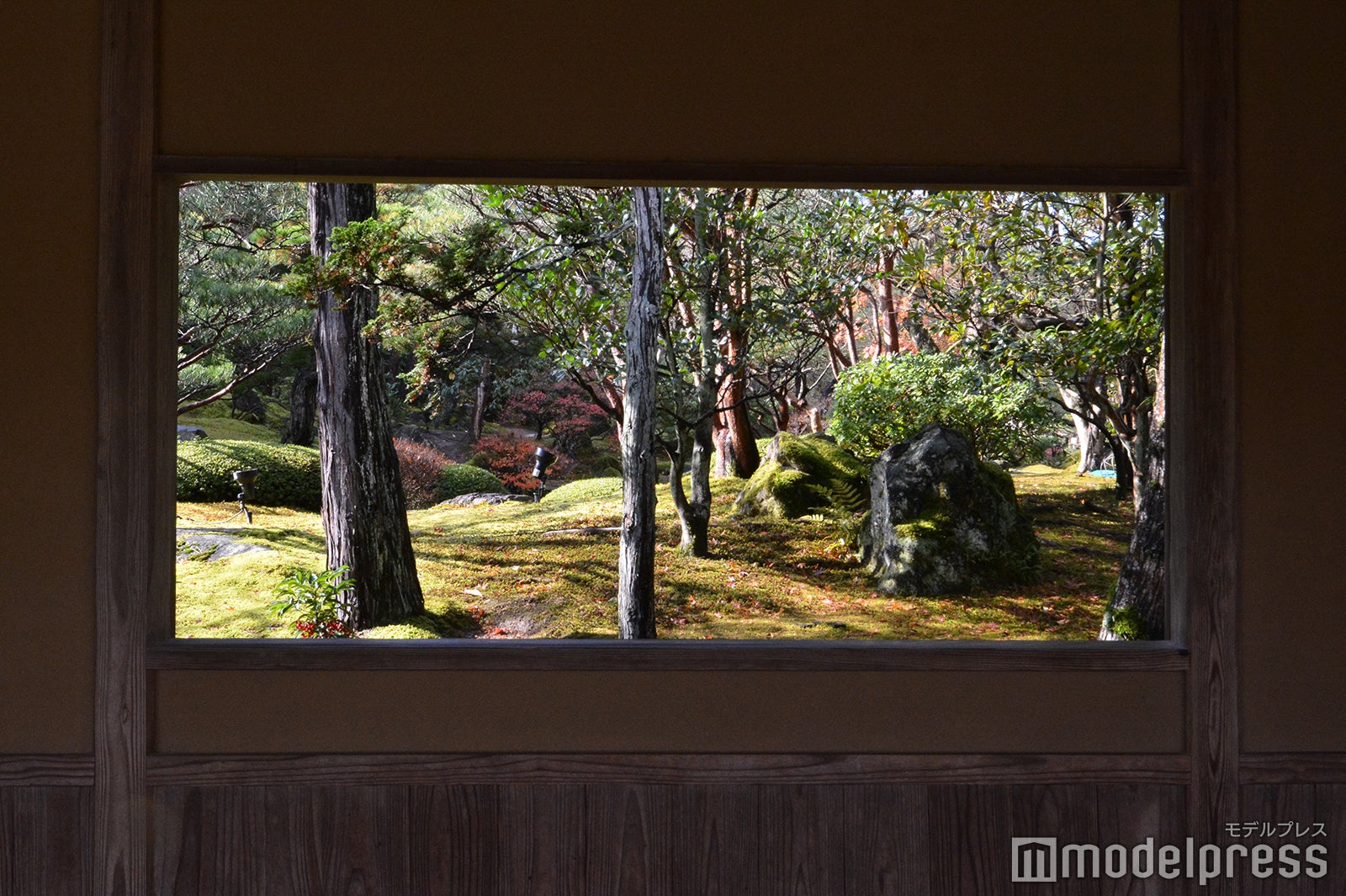 （C）モデルプレス