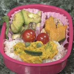 新人女子アナ マズいってこと 手作り弁当が酷評される モデルプレス