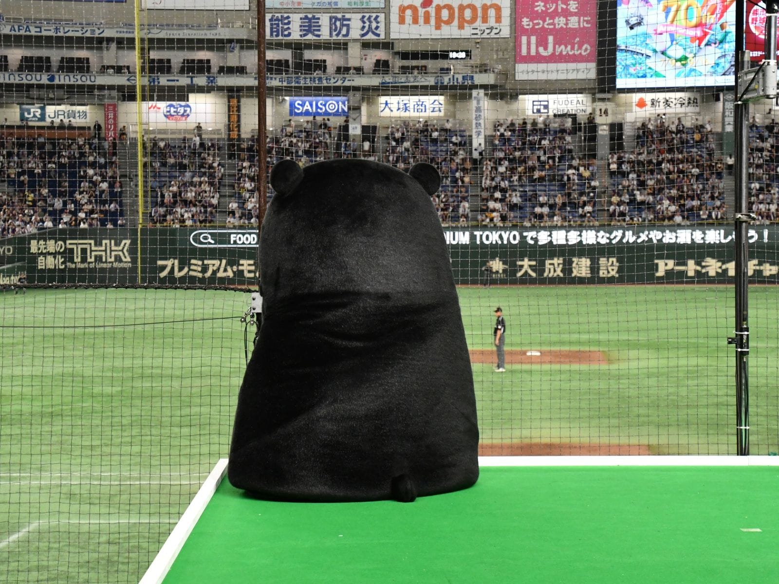 試合に全集中の後ろ姿=9月1日、東京都文京区