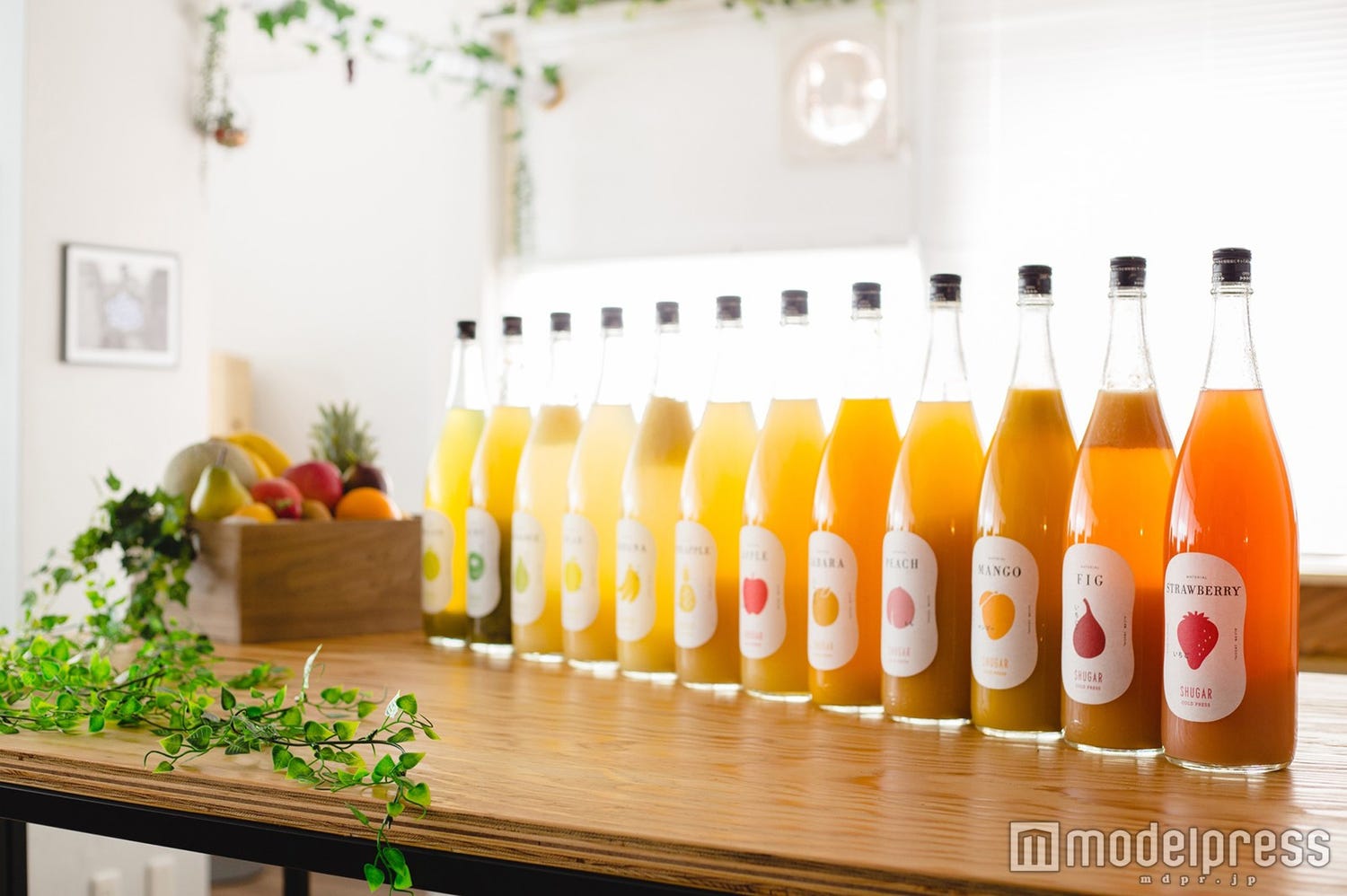 週末何する?次の休みに行くお出かけスポット7選vol.37