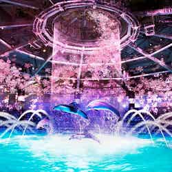 ネイキッドサクラ アクアリウム/画像提供:横浜八景島