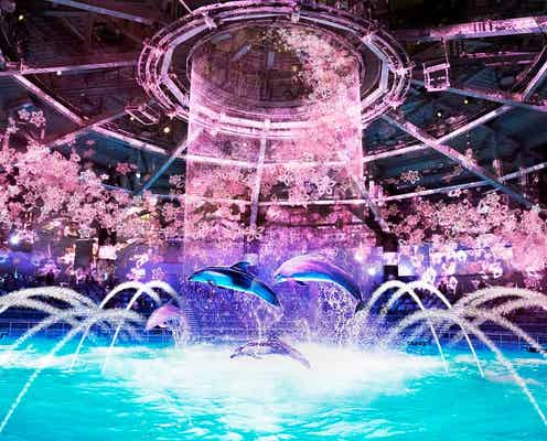 アクアパーク品川「ネイキッドサクラアクアリウム」海の世界を桜色の花見アートで彩る