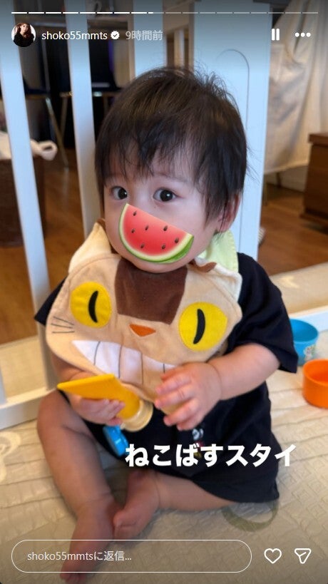 中川翔子Instagramストーリーズより