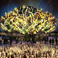 シンボルツリーとランタンイルミネーション「光の草原」(イメージ)/画像提供:ラグーナテンボス【モデルプレス】