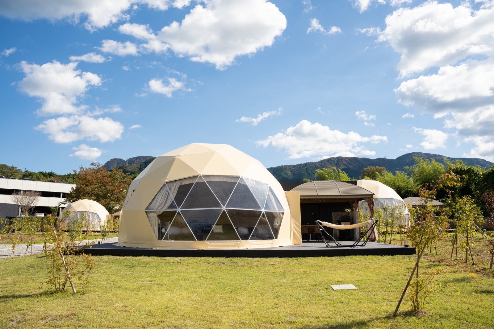 リラム／提供画像