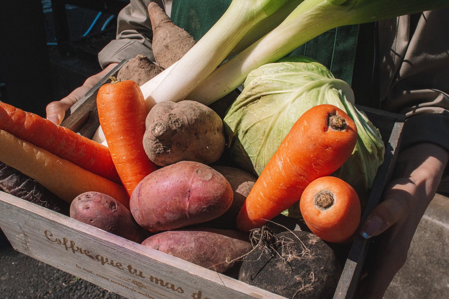 ツリーバイネイキッド メイジパーク／画像提供：ネイキッド