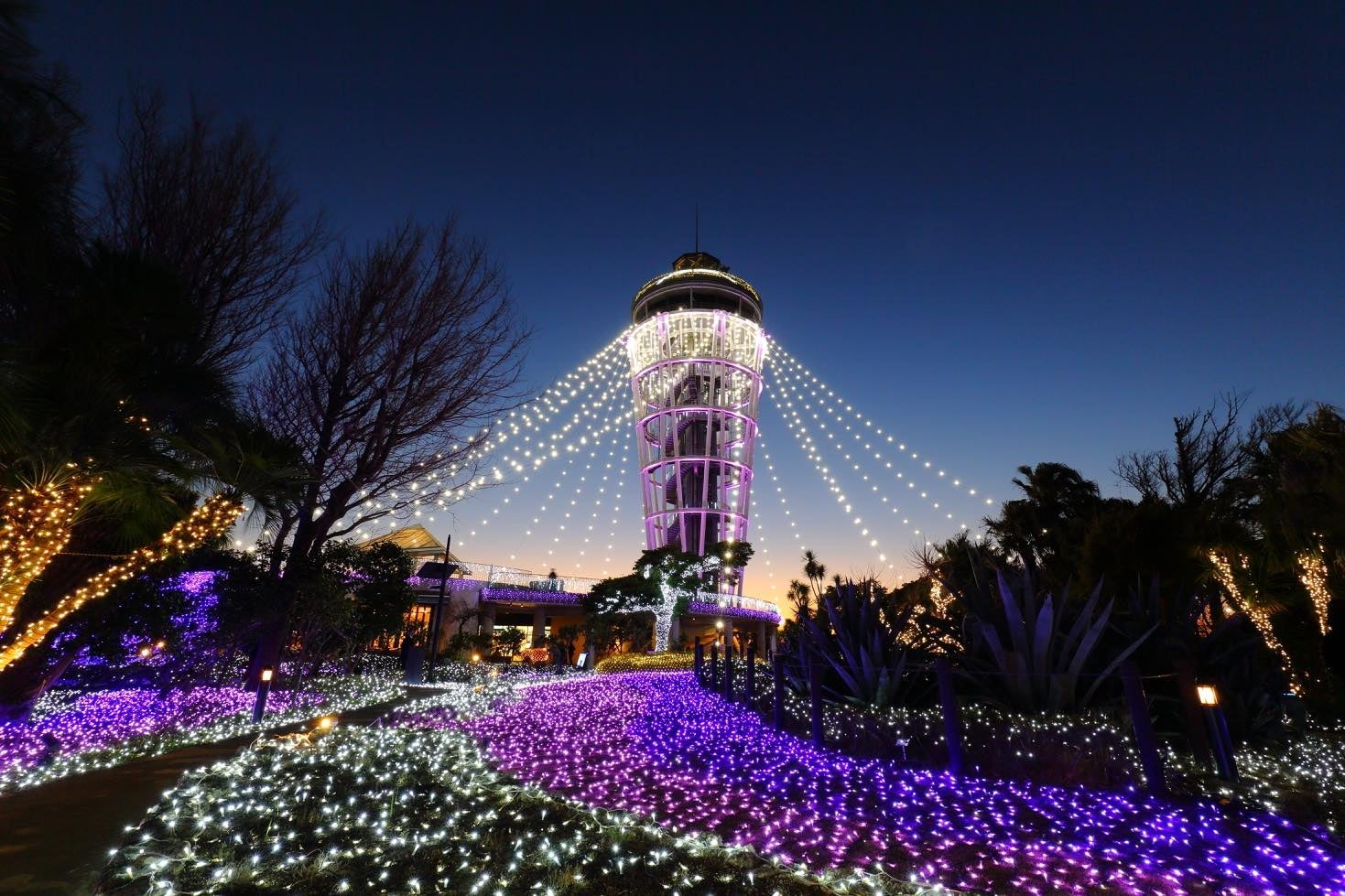 江の島 湘南の宝石／画像提供：ぴあ