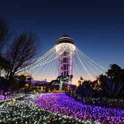 江の島 湘南の宝石/画像提供:ぴあ