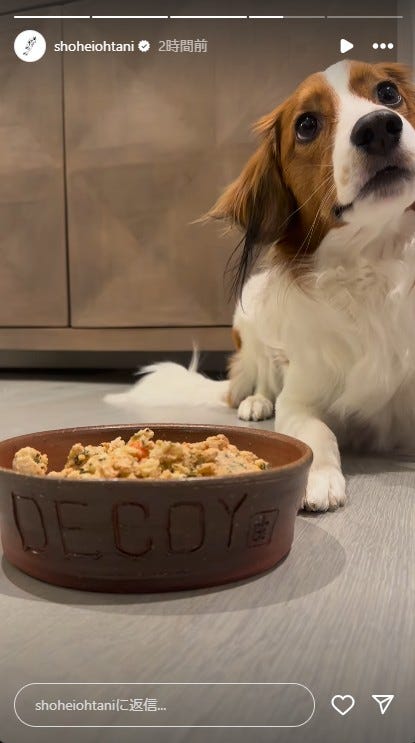 大谷翔平選手Instagramストーリーズより