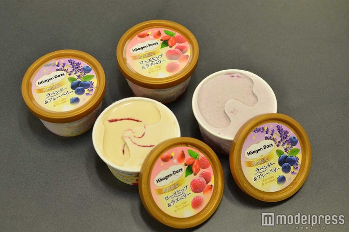 ハーゲンダッツ ミニカップ「ラベンダー&ブルーベリー」、「ローズヒップ&ラズベリー」/(C)モデルプレス
