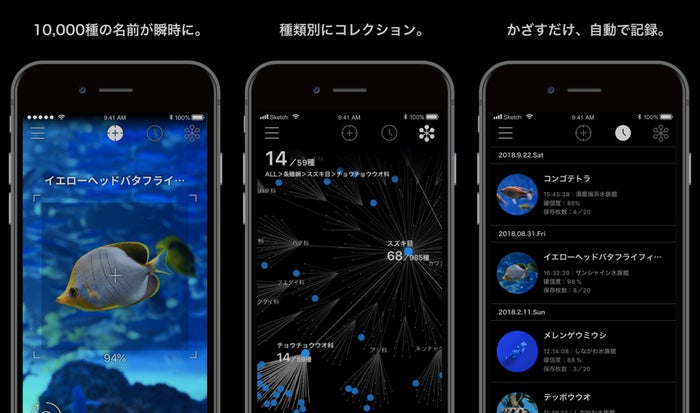 ジュエリーアクアリウム/画像提供:アイティベル