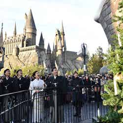 魔法のクリスマスツリー体験/画像提供:ユー・エス・ジェイ