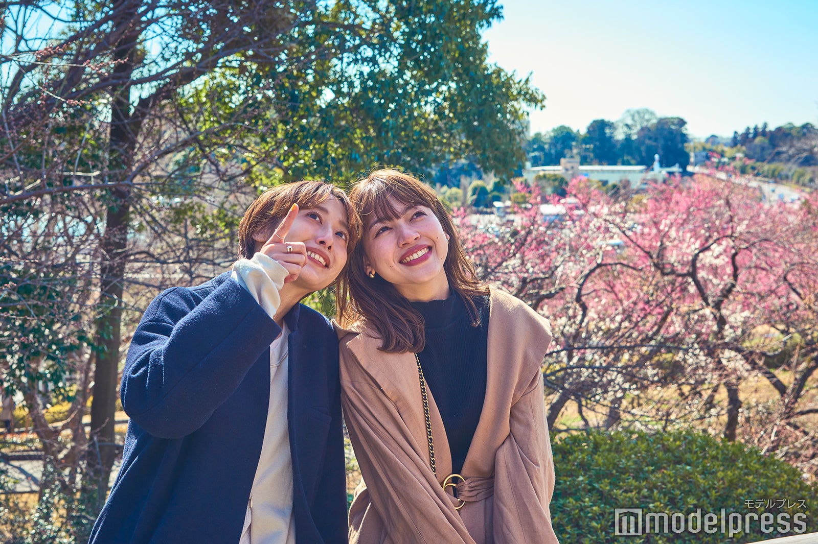 春は梅に桜と見どころがいっぱい※写真は2月下旬（C）モデルプレス