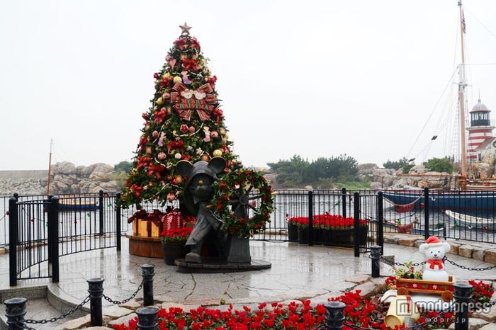 アメリカンウォーターフロントのケープコッドのツリー(昼)