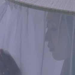 壇蜜が出演した秋田県産「あきたこまち」の新CM「朝日」篇、「旅」篇より