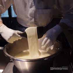 星野リゾート トマム(C)モデルプレス