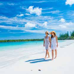 憧れのニューカレドニアで魅惑のバカンス!極上ビーチが待つリゾートへ未体験の旅に出かけよう