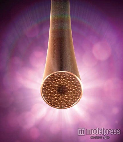 ヘアカラー前はトリートメントをして、ダメージを受けにくい健康毛へ近づけておくことが大切