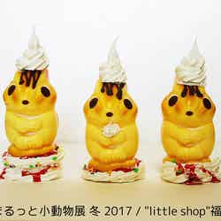 「まるっと小動物展 冬 2017」/画像提供:株式会社BACON