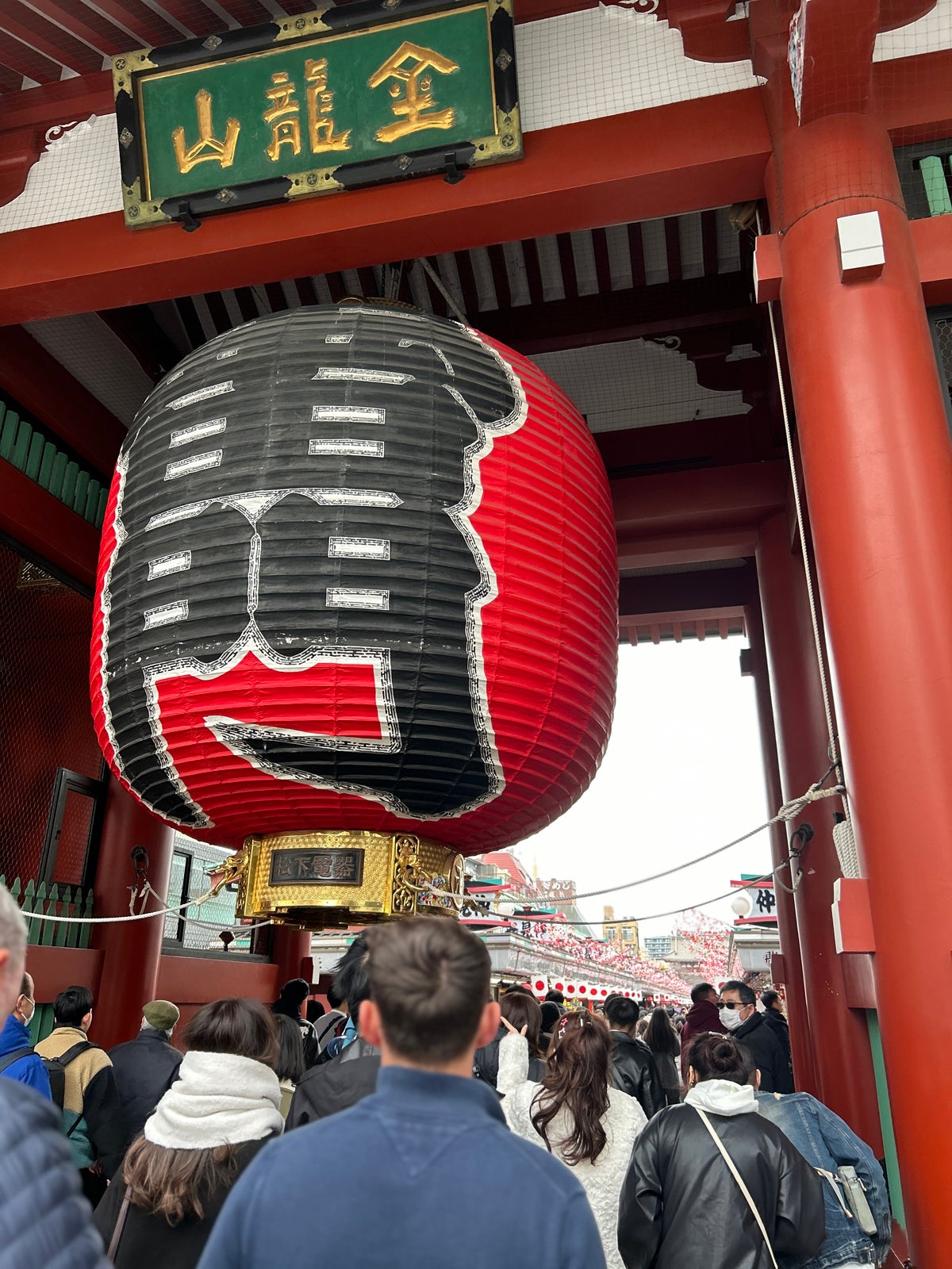 舩木菜々「年末年始の過ごし方」（提供写真）