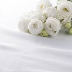 「テラスハウス」出演の女子プロレスラー木村花さん死去 享年22歳