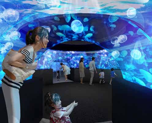 京都水族館にクラゲ新展示「クラゲワンダー」西日本最多5,000匹が漂う幻想的な水中空間
