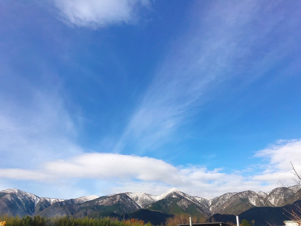 R DRIVE IN ～BEACH SIDE THEATER～（提供画像）