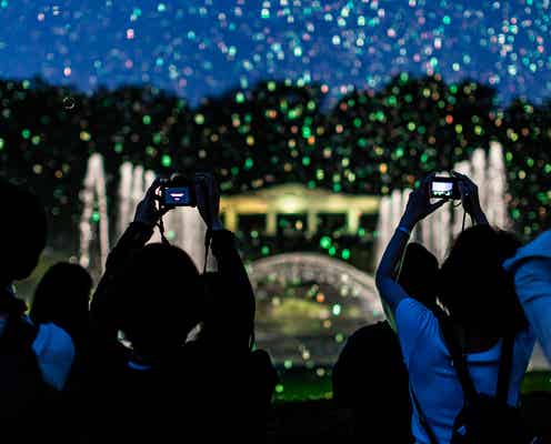 シャボン玉と光が幻想的に夜空を演出「バブルミネーション」東京・神代植物公園で開催