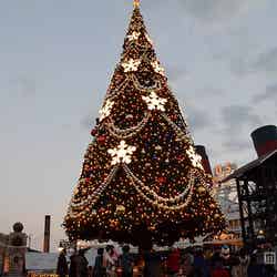S．S．コロンビア号の前のクリスマスツリー（夕暮れ時）